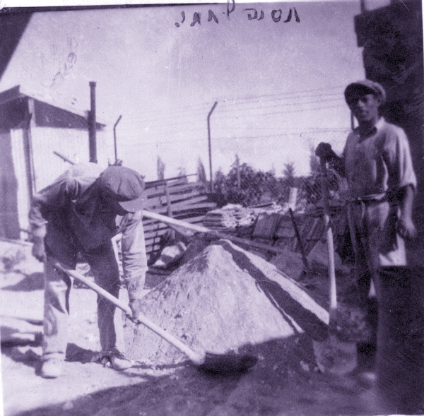1933